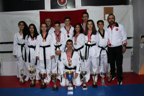 Taekwondo 27