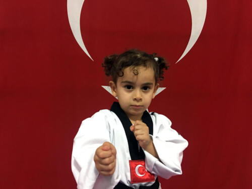 Taekwondo 18